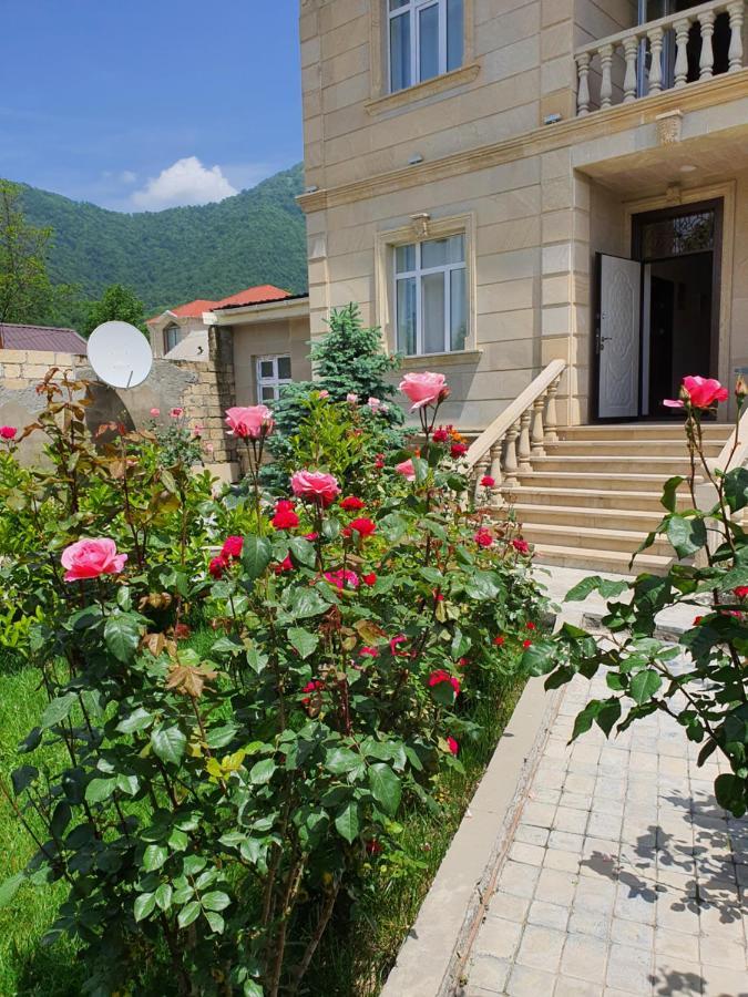Viva Hotel Gabala With Outdoor Pool ,Sauna And Waterfall Exterior photo